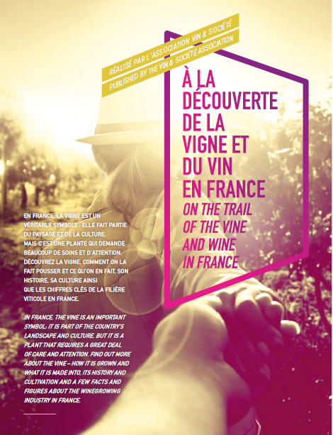 A la découverte de la vigne et du vin en France