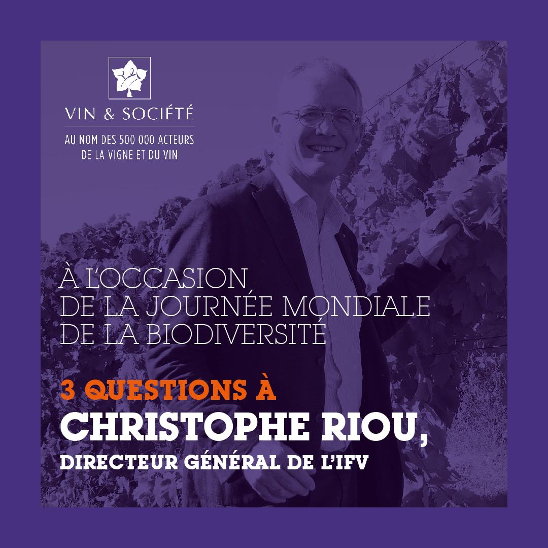 Christophe Riou IFV 