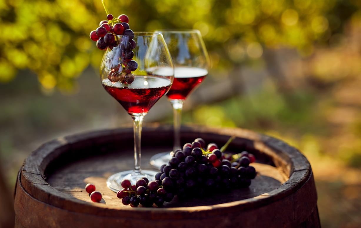 Verre de vin vigne raisin 