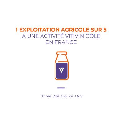 1 exploitation agricole sur 5 a une activité vitivinicole en France