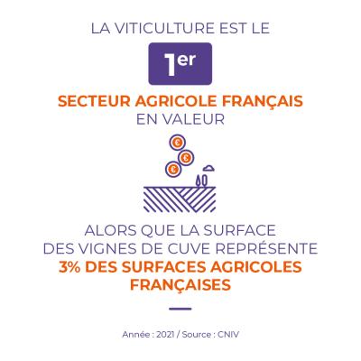 Viticulture 1er secteur agricole français en valeur