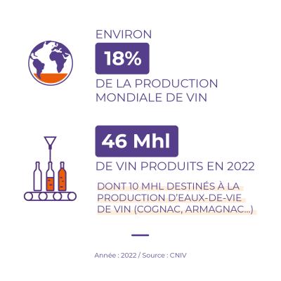 Production de vin en France 