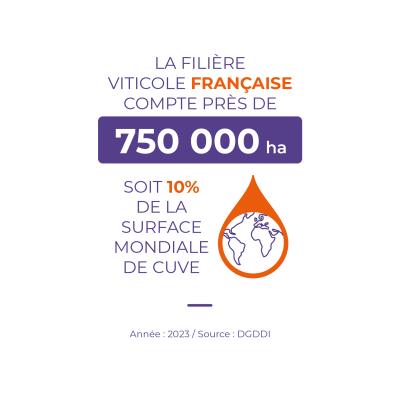 Nombre d'hectares vignoble français 