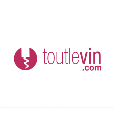 logo-toutlevin.com