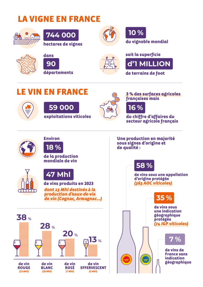 Chiffres clés filière Vin 2025 - 2