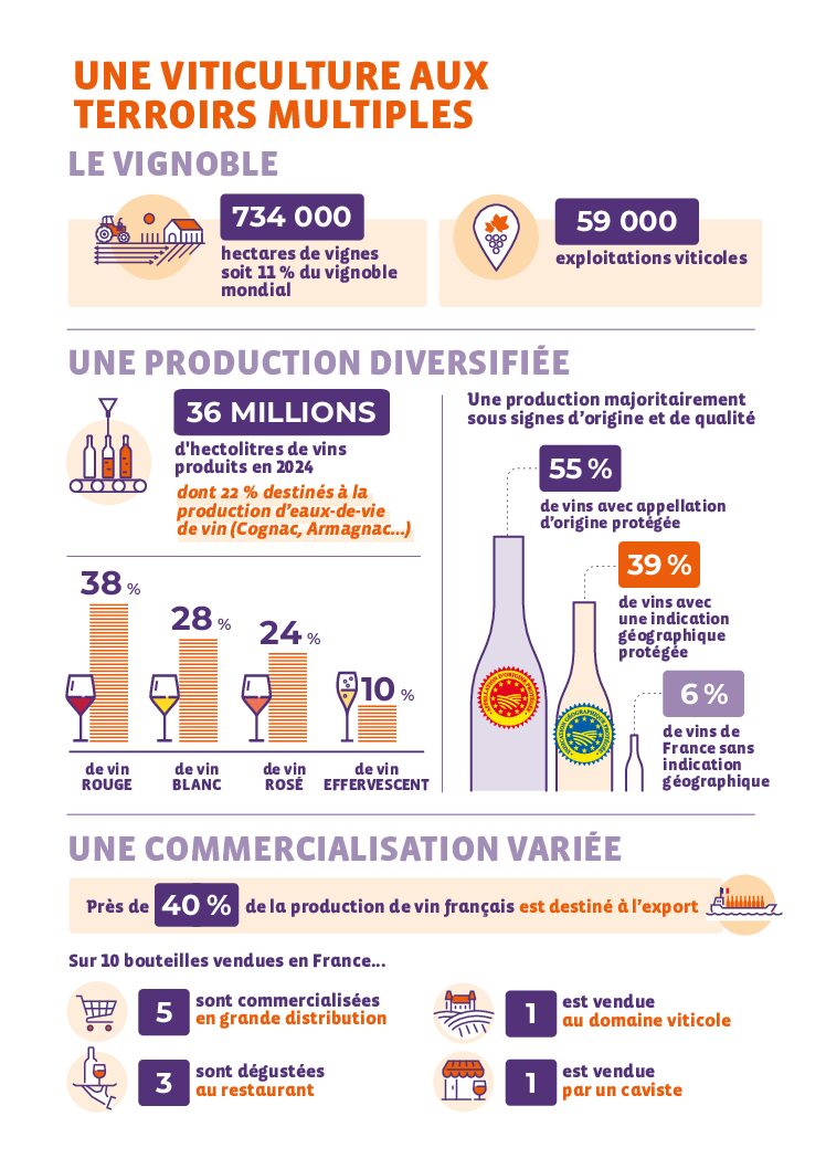 Chiffres clés filière Vin 2026 production