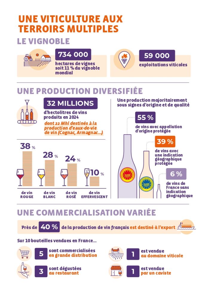 Chiffres clés filière vin 2026 production