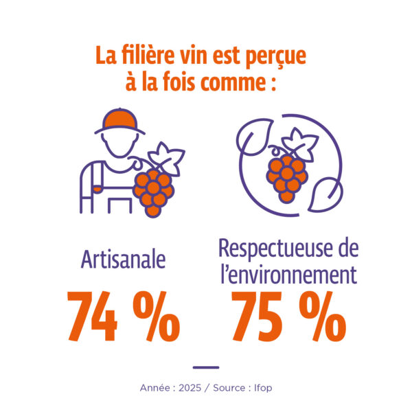 filière vin artisanale et respectueuse de l'environnement
