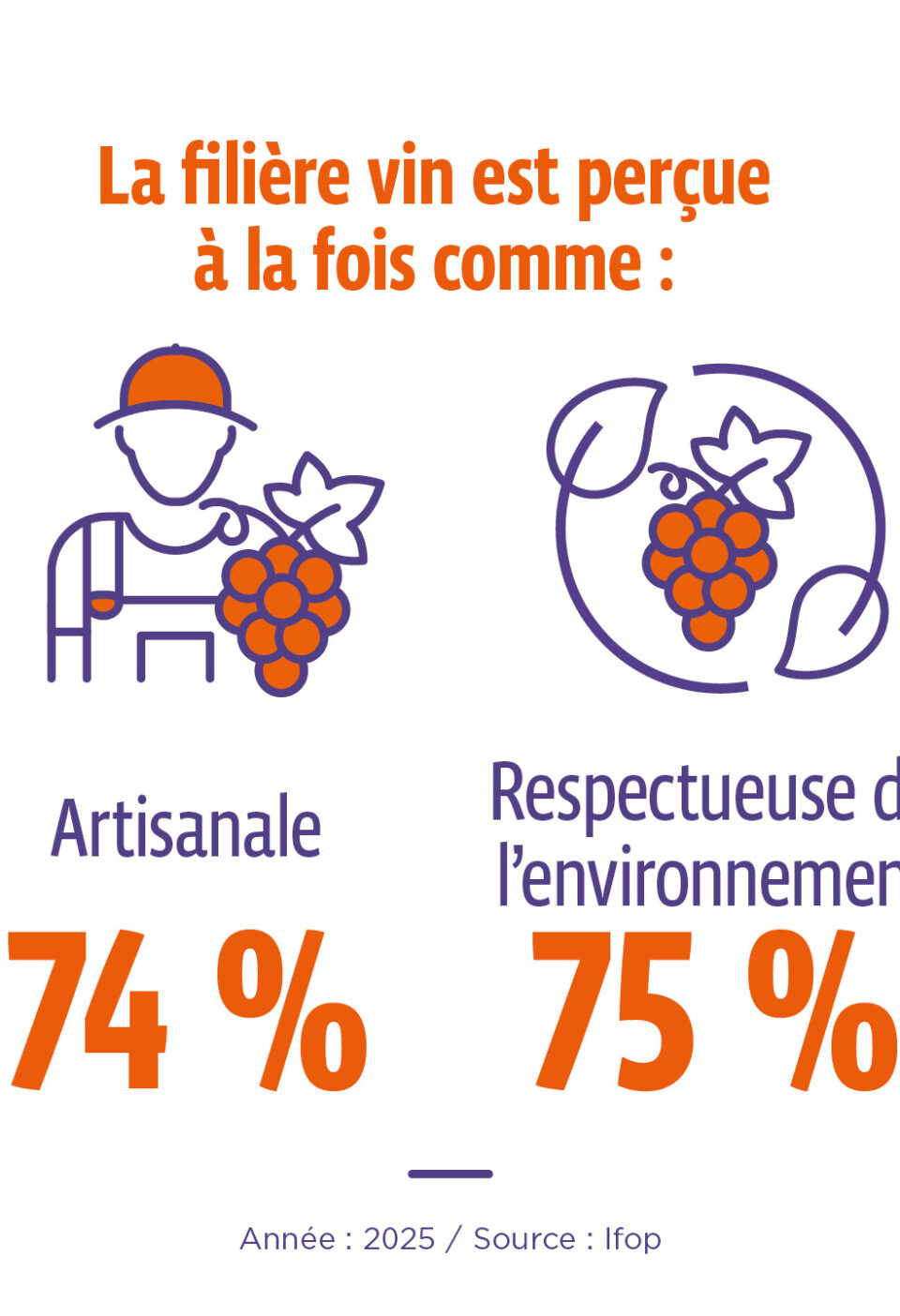 filière vin artisanale et respectueuse de l'environnement