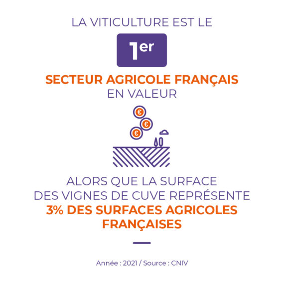 Vin 1er secteur agricole france