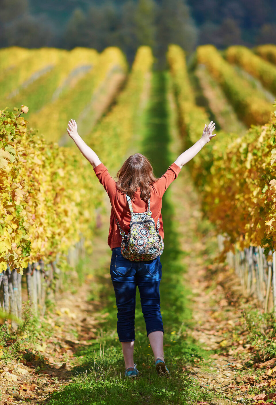 oenotourisme vin