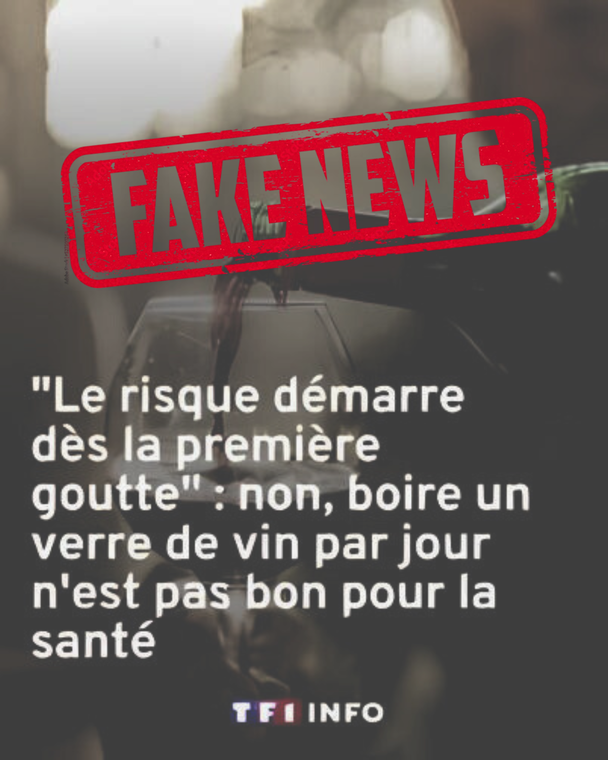 Fake News TF1